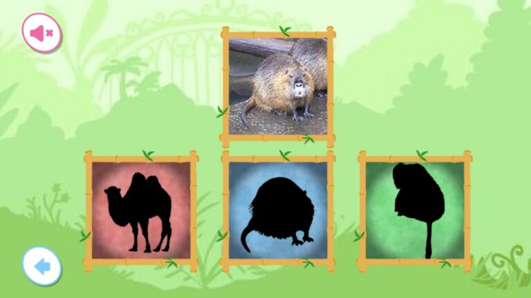 StoryZoo game activity where kids match animal silhouettes to real images for learning and recognition