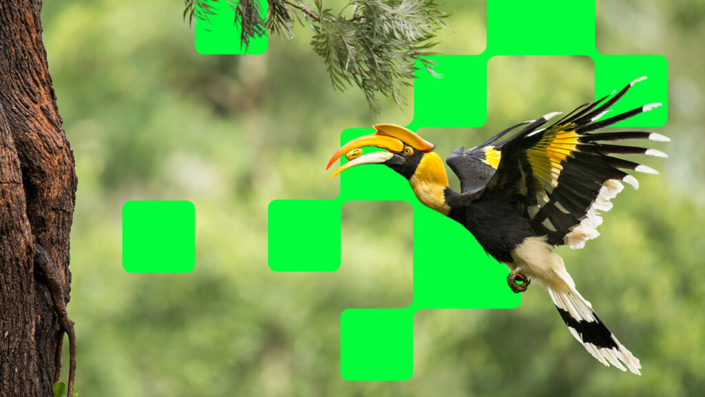 Green Game Jam 2025 banner featuring the theme “Nurture Yourself with Nature”